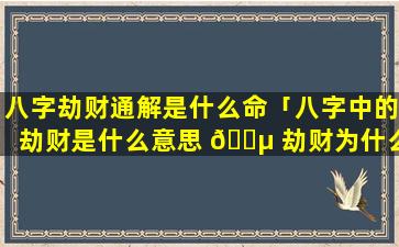 八字劫财通解是什么命「八字中的劫财是什么意思 🐵 劫财为什么会导致破财」